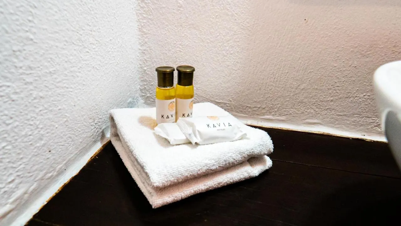 Hotel Casa De Las Flores 신데 델 카르멘
