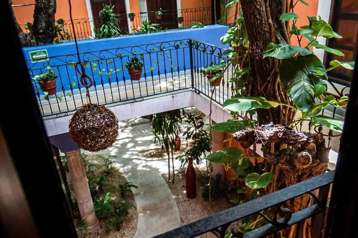 Hotel Casa De Las Flores 신데 델 카르멘 3*,  멕시코